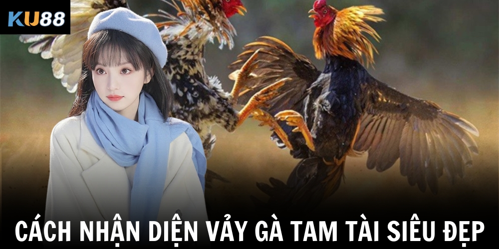 Vảy Gà Tam Tài - Ưu điểm Giúp Nhận Diện Gà Quý Cực Hay 2 Cách nhận diện vảy gà Tam Tài siêu đẹp