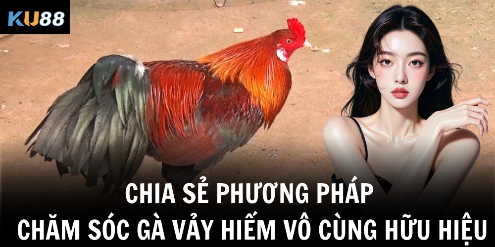 Vảy Gà Tam Tài - Ưu điểm Giúp Nhận Diện Gà Quý Cực Hay 3 Chia sẻ phương pháp chăm sóc gà vảy hiếm vô cùng hữu hiệu