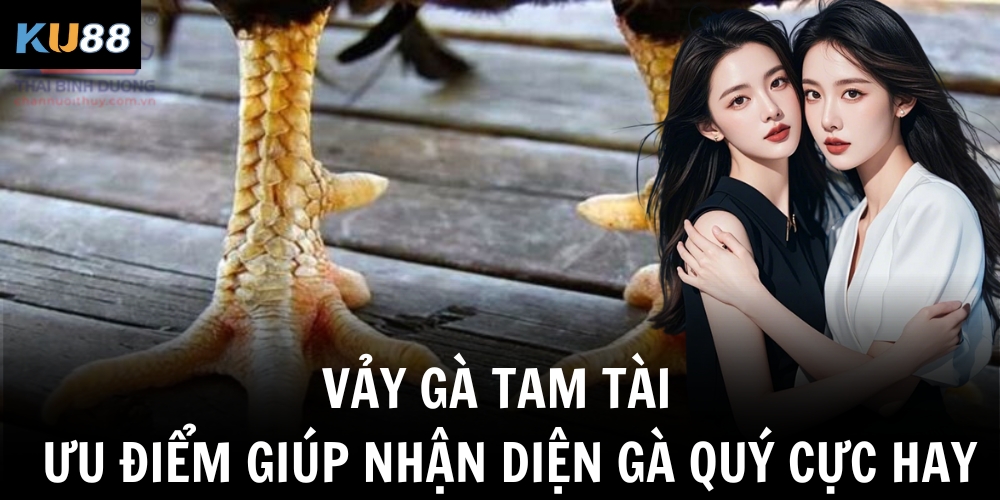 vay ga tam tai uu diem giup nhan dien ga quy cuc hay