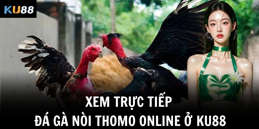 Đá Gà Nòi Ku88 - Kênh Phát Sóng Trực Tiếp Tại Châu Á 1 Xem trực tiếp đá gà nòi thomo online ở Ku88
